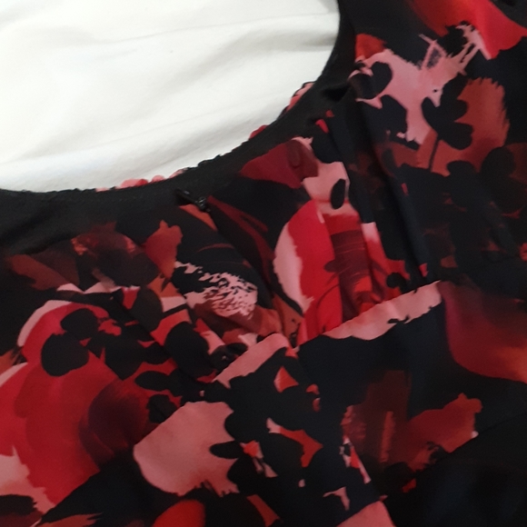 A-Line Dress with Red Rose Print - Picture 6 of 7